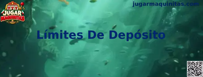 Guía sobre Límites De Depósito para administrar responsablemente el presupuesto de juego