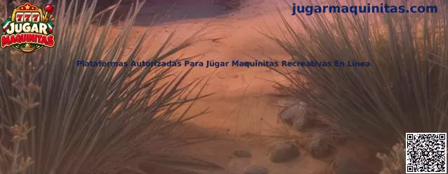 Plataformas autorizadas para jugar maquinitas recreativas en línea