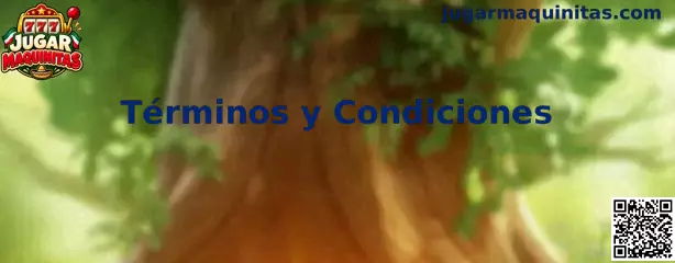 Términos y condiciones de Jugar Maquinitas